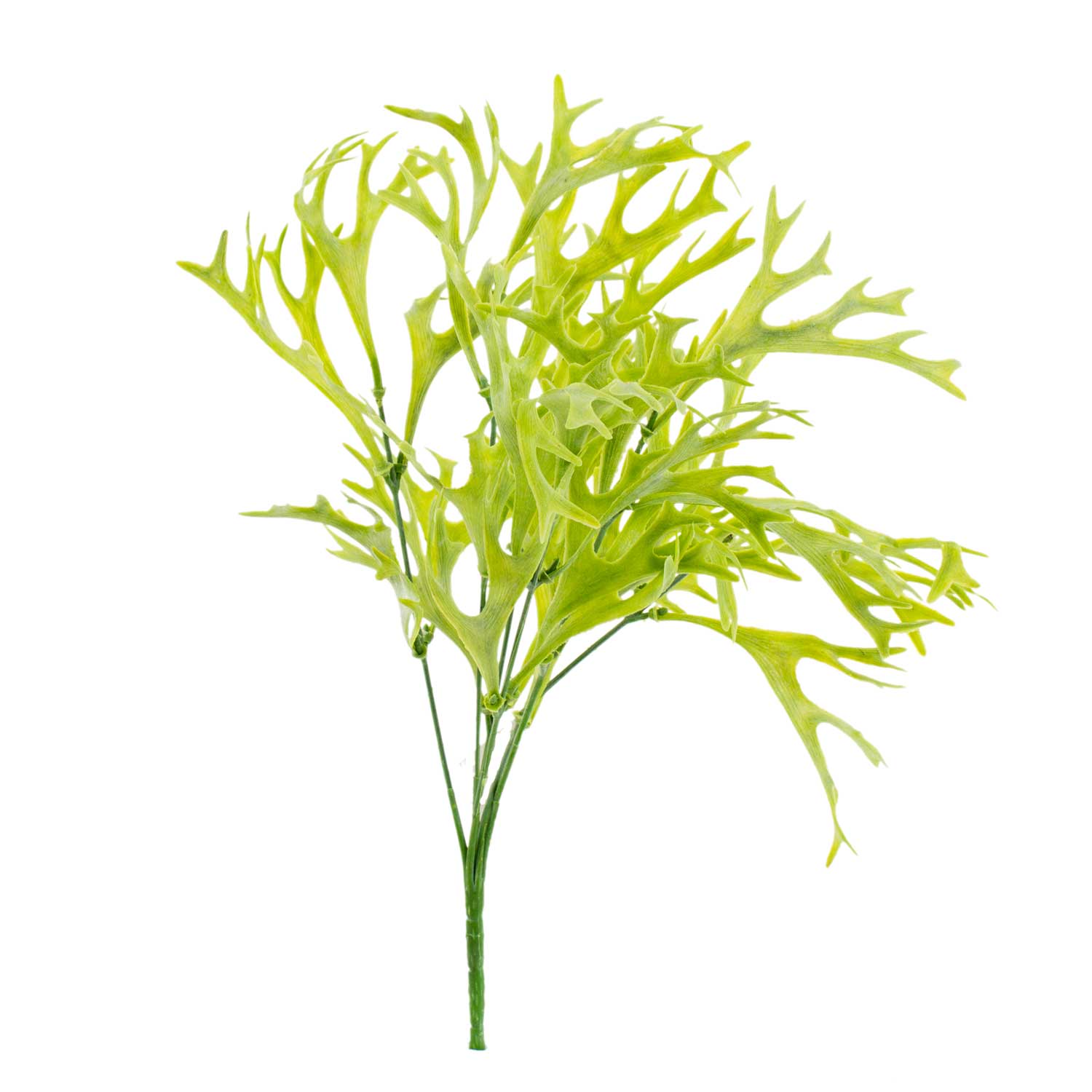 Yapay Saz 38 Cm - Euro Flora