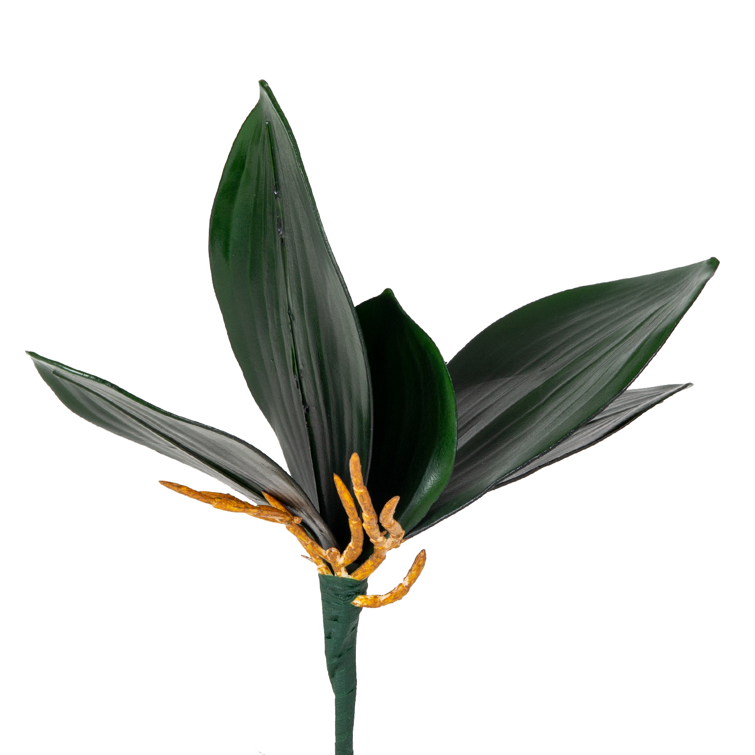 Yapay Orkide Yaprağı Yeşil 25 Cm. 