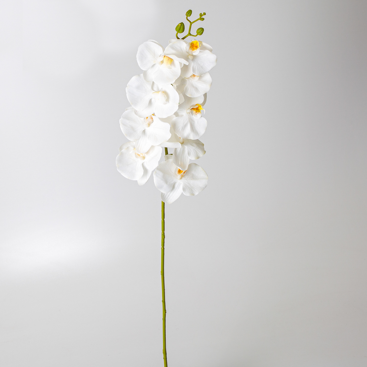 Yapay Orkide Beyaz 99 Cm. 