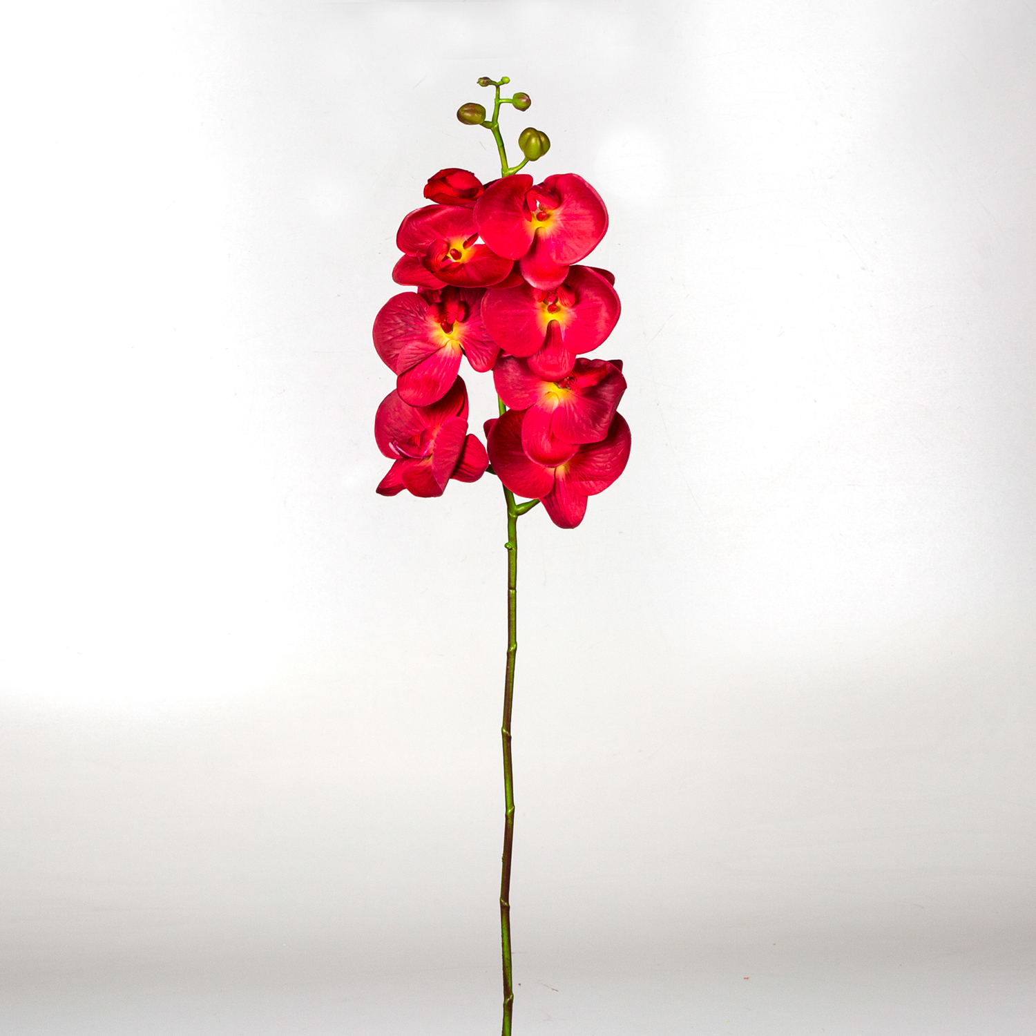 Yapay Orkide Gerçek Dokunuş Kırmızı 104 Cm.