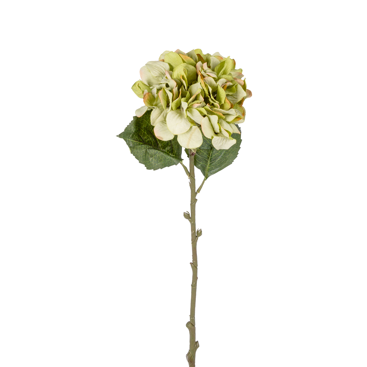 Yapay Çiçek Ortanca Tek Dal Küçük Boy Yeşil 60 Cm.