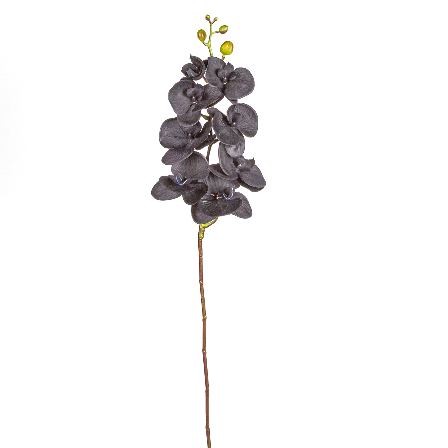 Yapay Orkide Gerçek Dokunuş Siyah 104 Cm.