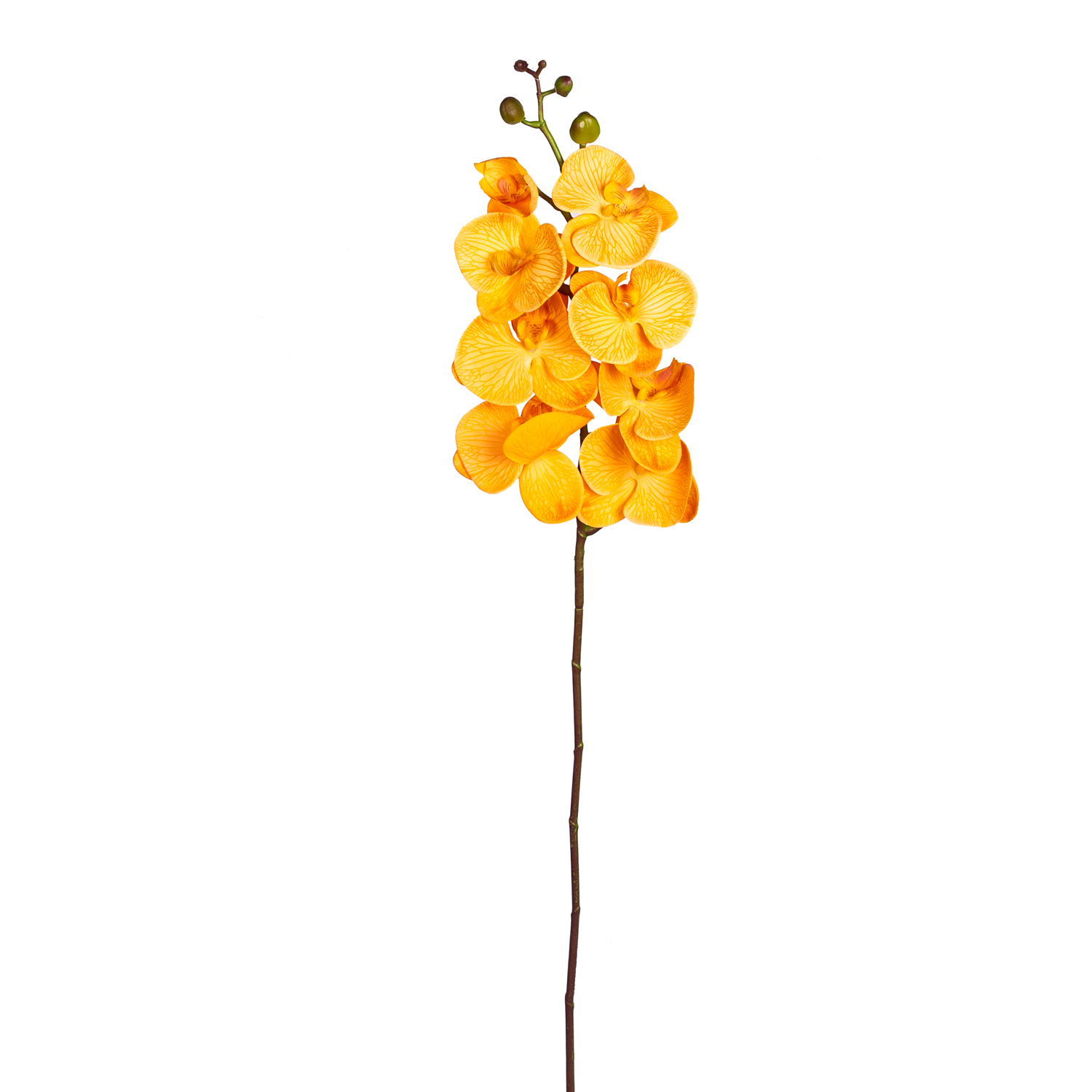 Yapay Orkide Gerçek Dokunuş Hardal 104 Cm.