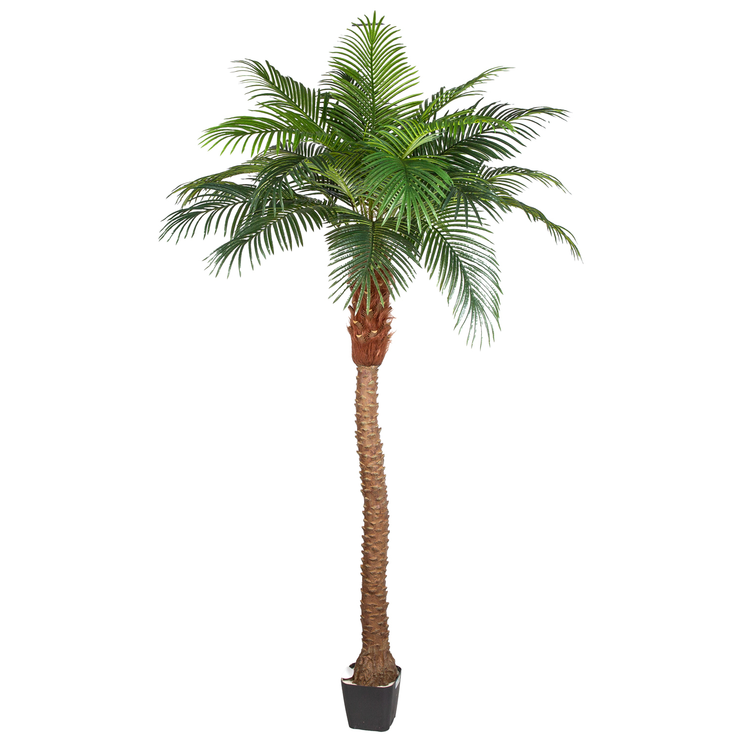 Yapay Phoenix Palmiye Ağacı Gerçek Dokulu 21 Yaprak 260 Cm.