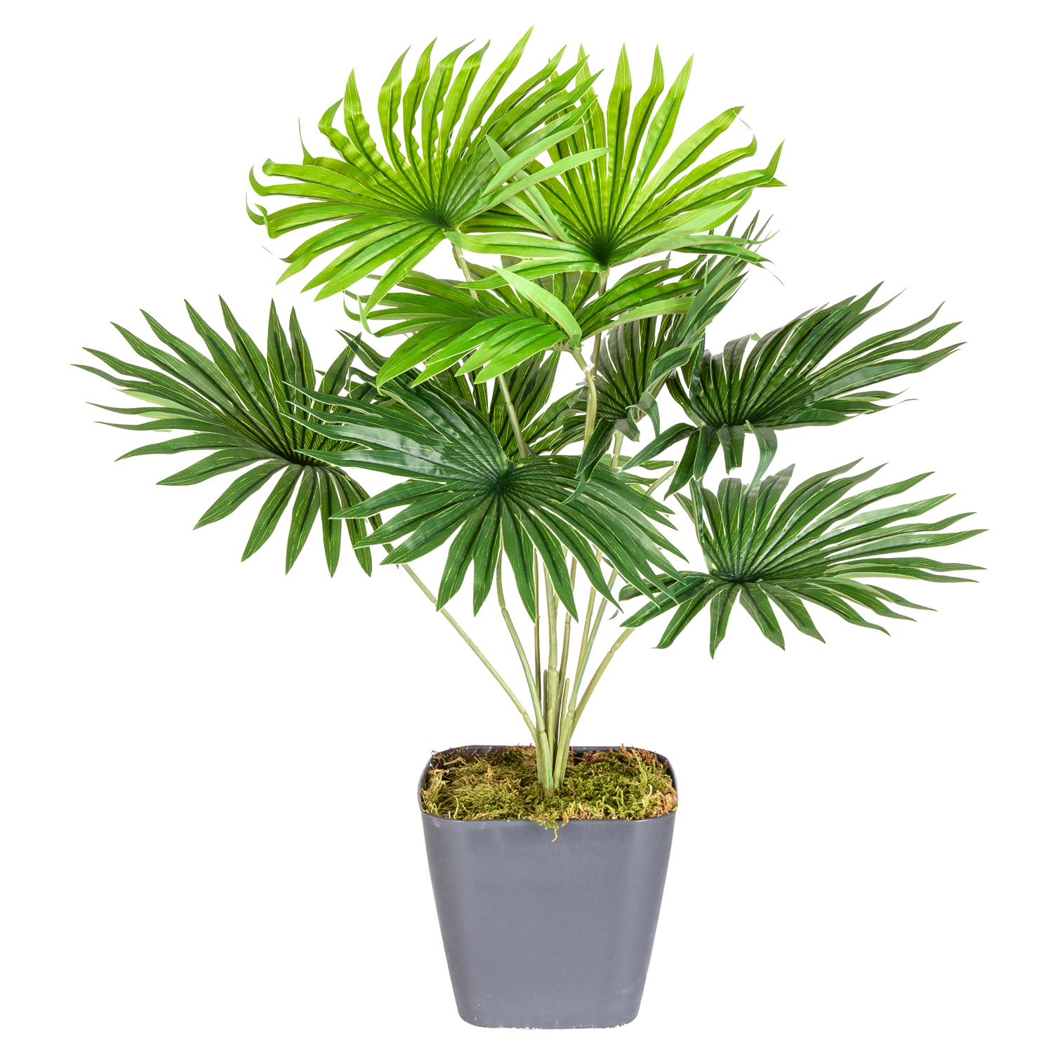 Saksıda Yapay Bitki Fan Palmiye Demeti Gerçek Dokulu 9 Yaprak Yeşil 48 Cm.