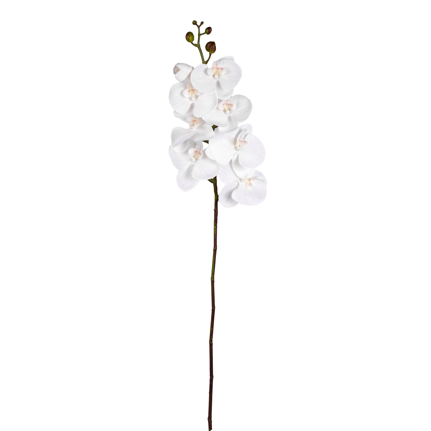 Yapay Orkide Gerçek Dokunuş Beyaz 104 Cm.