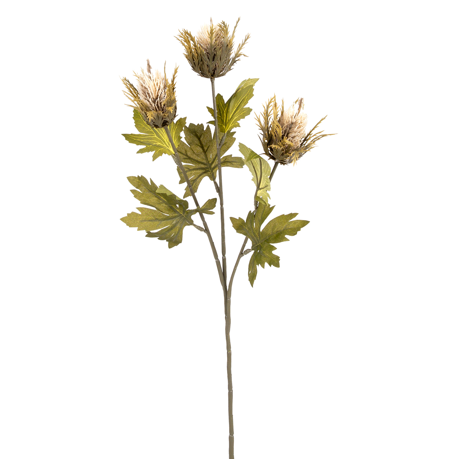 Yapay Teasel Bej 67 Cm. - Herdekora