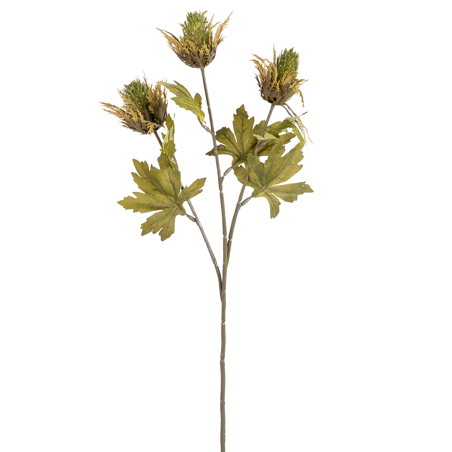 Yapay Teasel Yeşil 67 Cm. - Herdekora