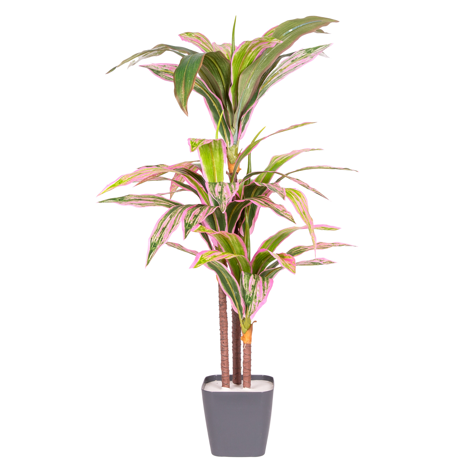 Yapay Dracena Gerçek Dokulu 90 Cm. - Herdekora