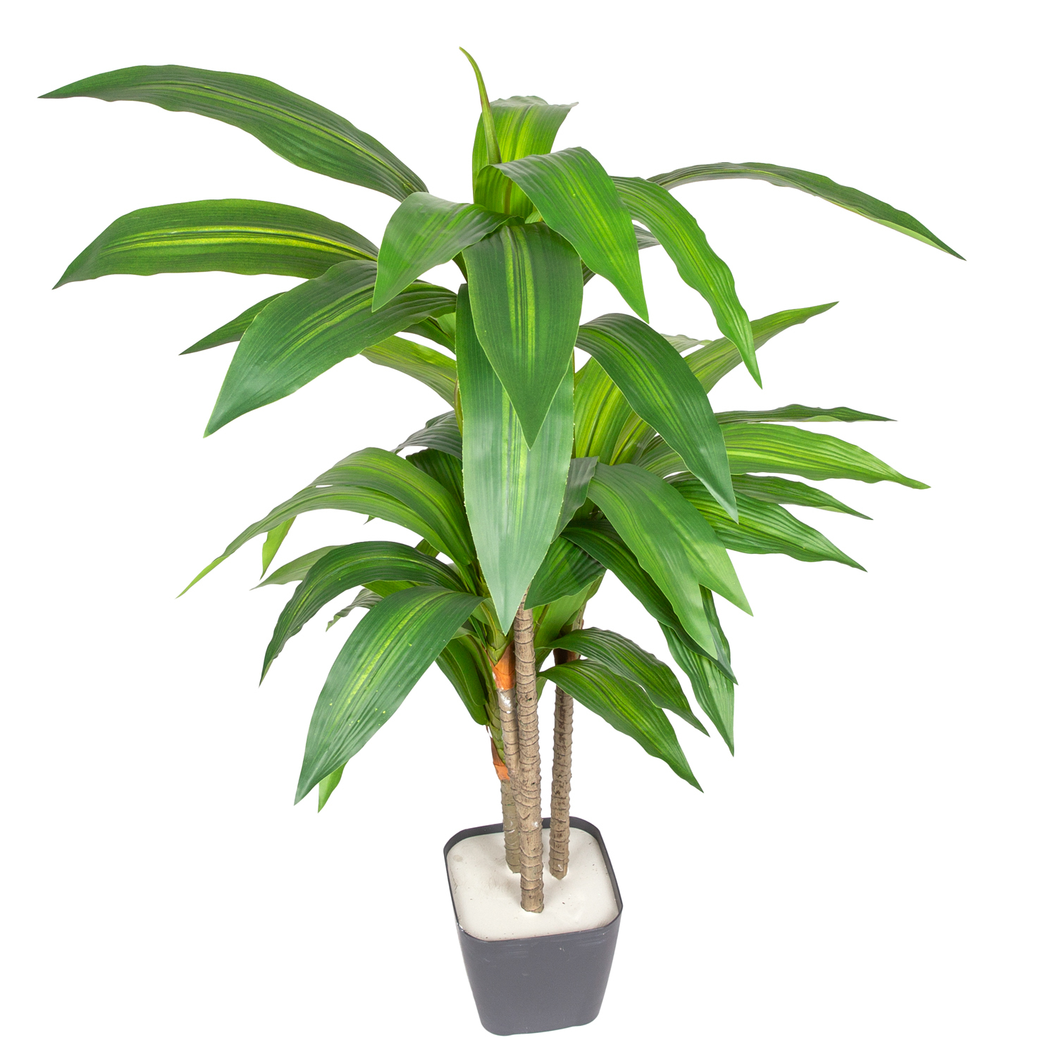 Yapay Dracena Gerçek Dokulu Yeşil 90 Cm.	 - Herdekora