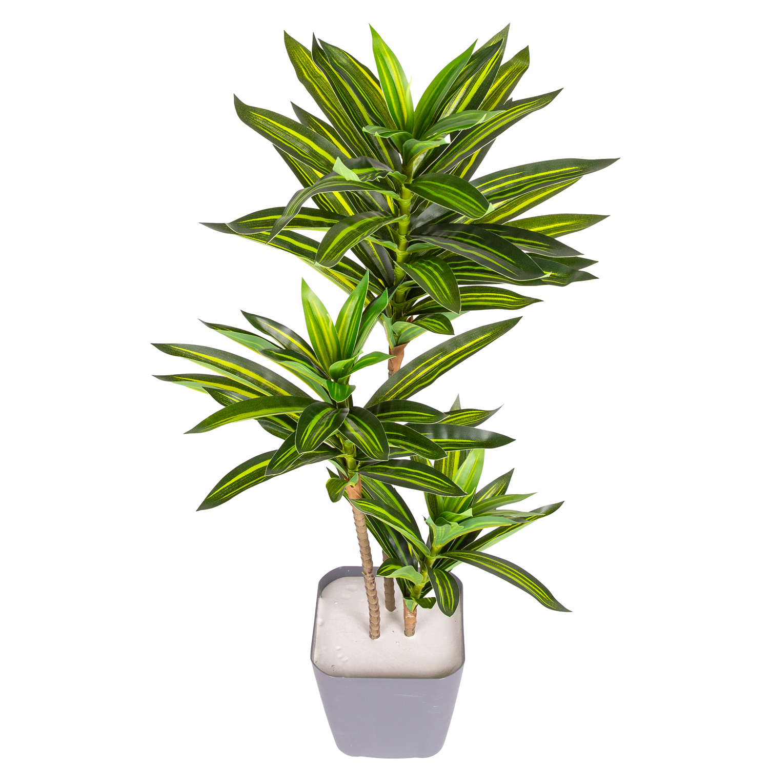 Yapay Dracena Gerçek Dokulu 72 Cm. - Herdekora