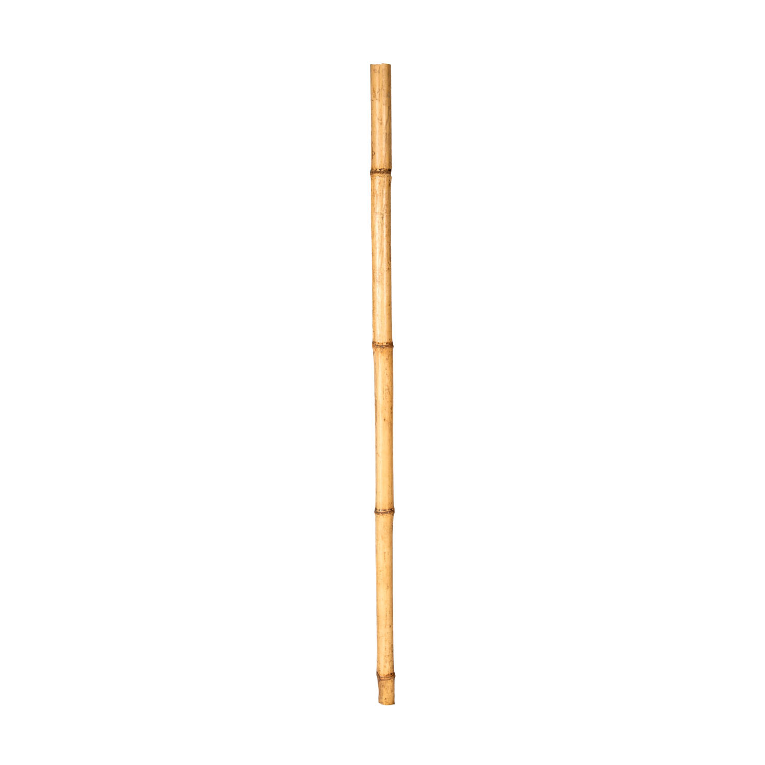 Bambu Çubuk 30/40 mm. 1 Metre - Herdekora