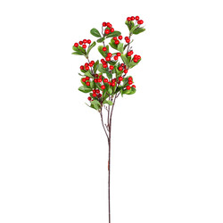 Yılbaşı Çiçeği Berry Pike Kokina Kırmızı 100 Cm.