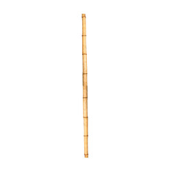 Bambu Çubuk 30/40 mm. 2 Metre