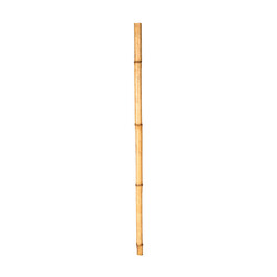 Bambu Çubuk 30/40 mm. 1 Metre